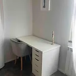 Cucchiari 2 Apartament Modena