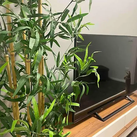 Διαμέρισμα Cucchiari 2 *