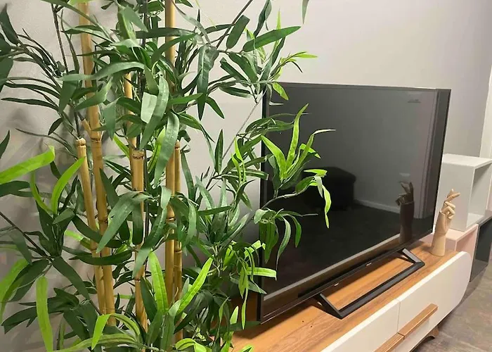 Apartment Cucchiari 2 *